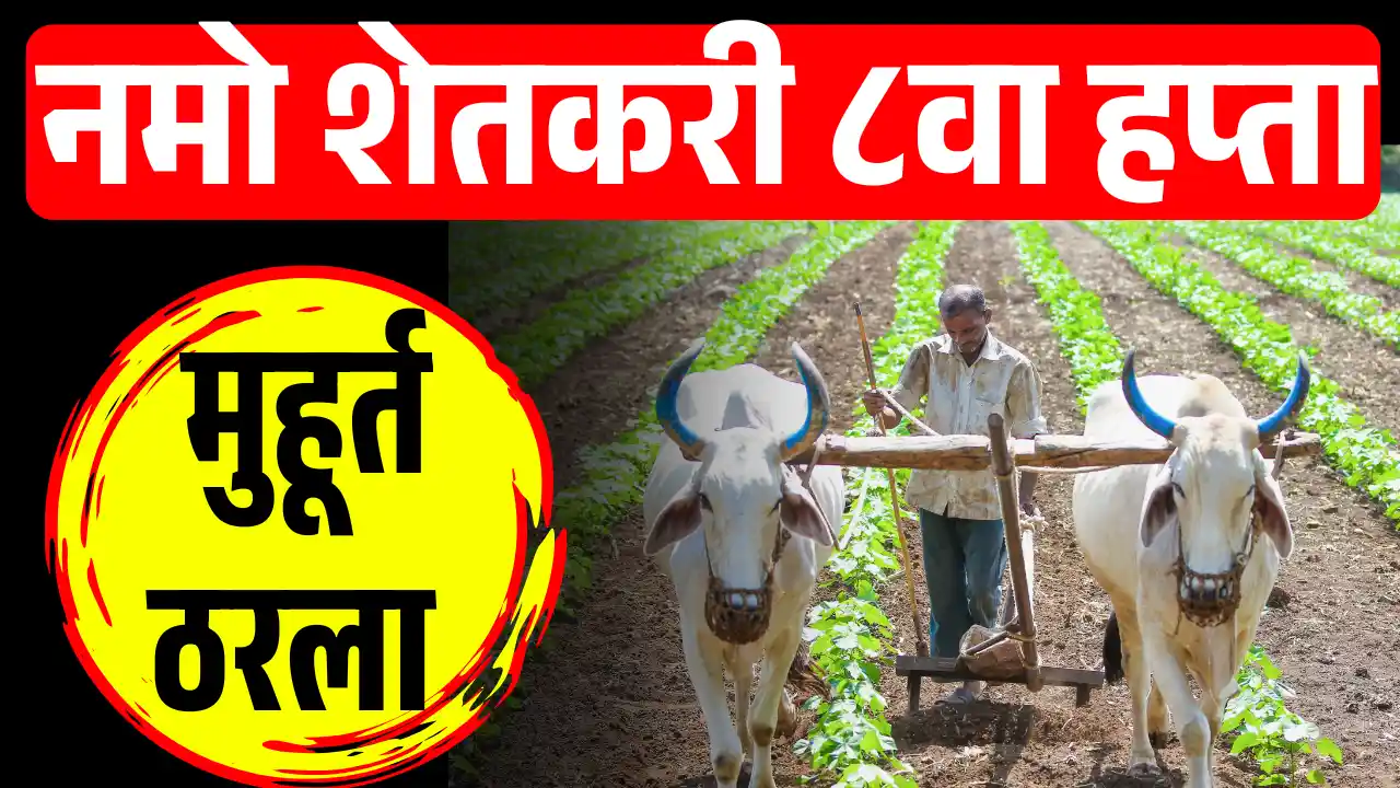 Namo shetkari 8 hapta 