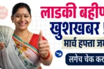 Ladki Bahin Yojana 21th Installment Release